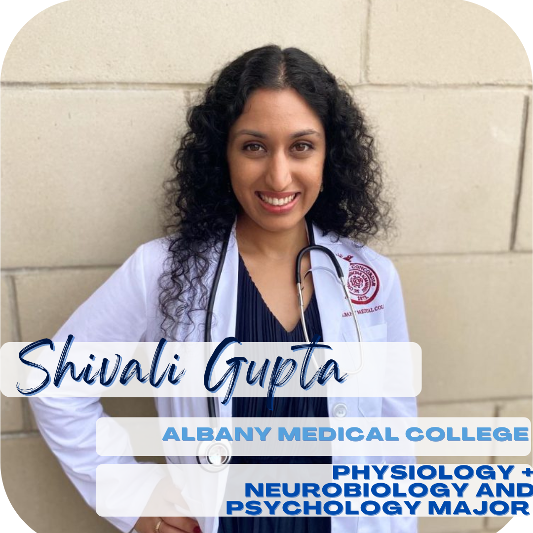 Shivali Gupta; Albany Medical College, Physiology + Neurobiology and Psychology major
